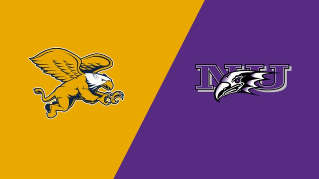 世界杯历史 世界杯历史